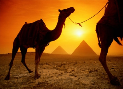 Oferta Speciala Hurghada