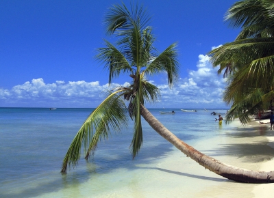 Revelion Republica Dominicana