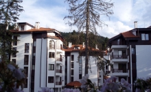 poza 1