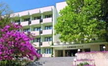 Hotel Lebed_1