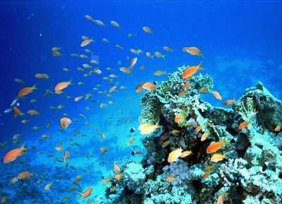 Valentine's Day - Hurghada 2012