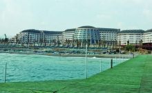poza 1