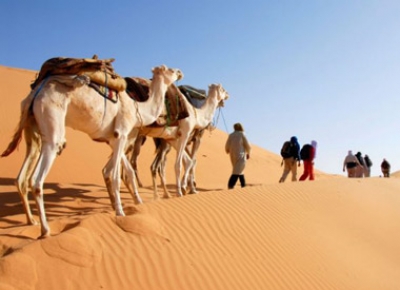 Last Minute TUNISIA