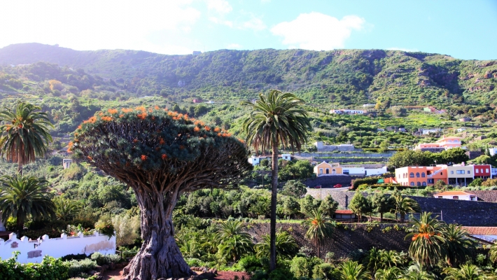 Obiective Turistice Tenerife_1