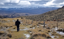 Jocul secret: Urmarirea unor lei de munte in Patagonia 9