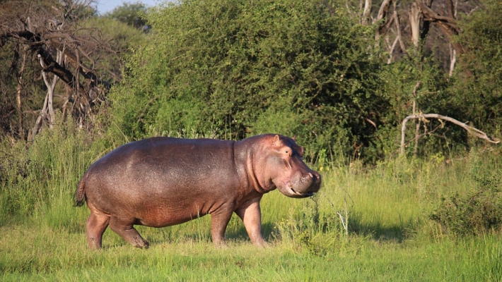 Parcul National Marakele din Africa de Sud 2