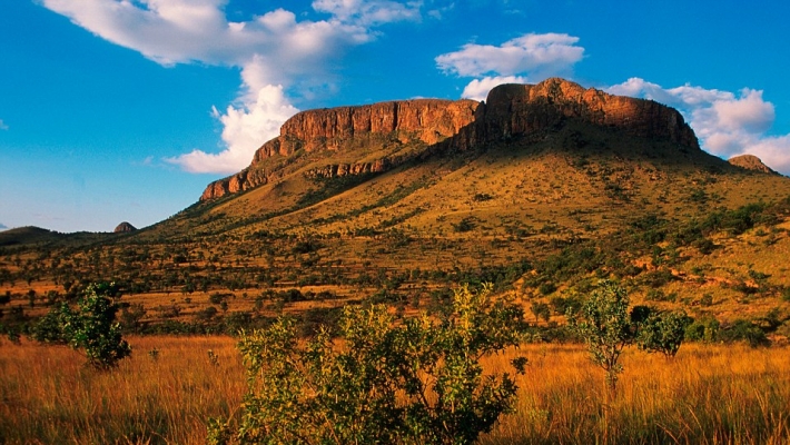 Parcul National Marakele din Africa de Sud 3