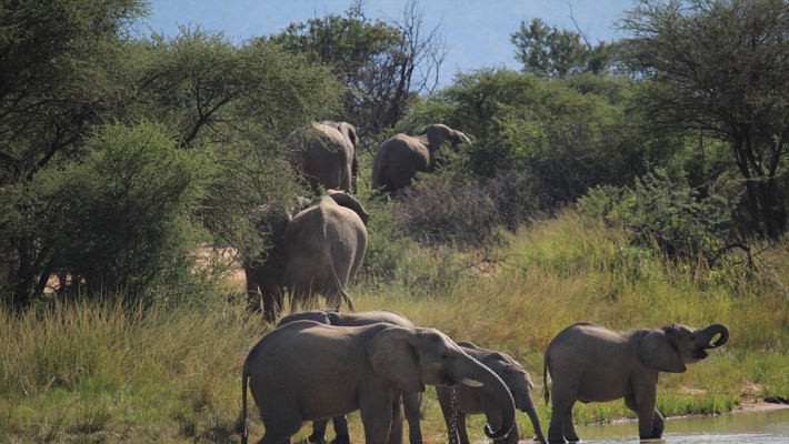 Parcul National Marakele din Africa de Sud 4