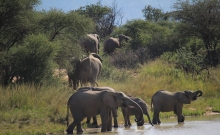 Parcul National Marakele din Africa de Sud 4