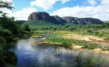 Parcul National Marakele din Africa de Sud 6