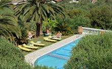 Paradise 7