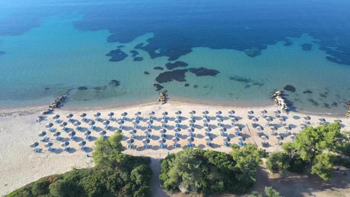 Hotel Blue Dolphin 1