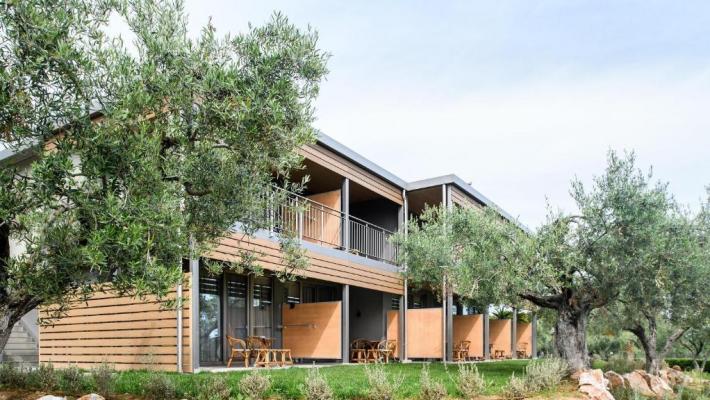 Hotel Blue Dolphin 4 Hotel Blue Dolphin 4