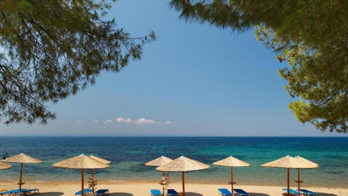 Hotel Blue Dolphin 7 Hotel Blue Dolphin 7