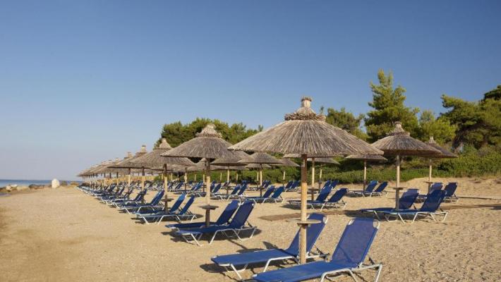 Hotel Blue Dolphin 8 Hotel Blue Dolphin 8