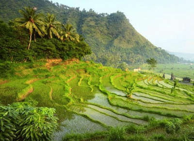 Obiective turistice Bali