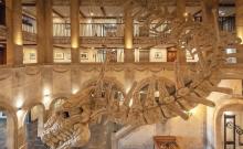 Hotel Muzeu Kronasar_2