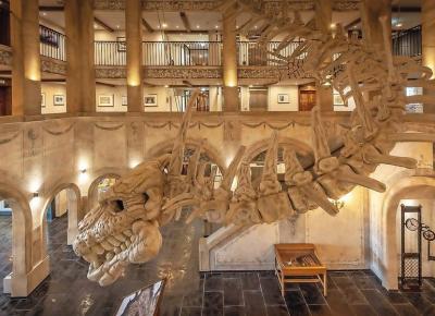 Hotel Muzeu Kronasar Hotel Muzeu Kronasar