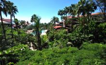 Hotel Parque Tropical_10
