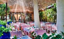 Hotel Parque Tropical_3