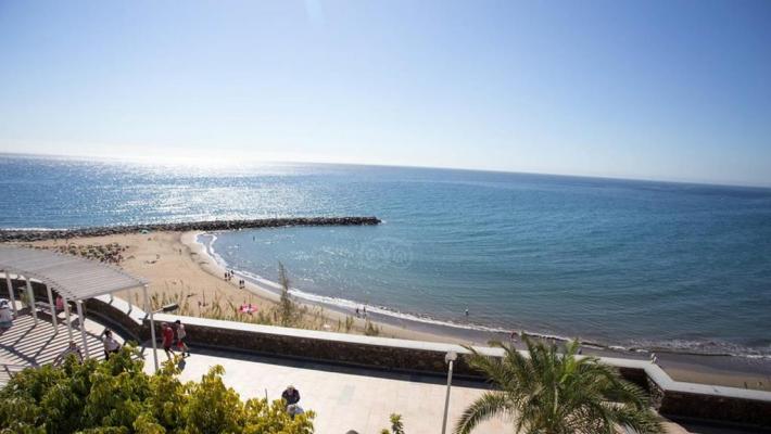 Hotel Parque Tropical_5