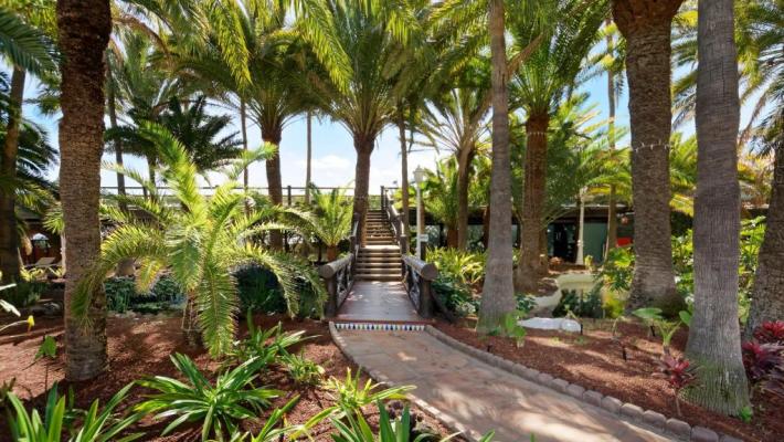 Hotel Parque Tropical_6