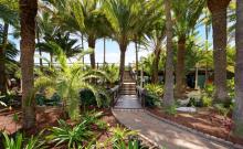 Hotel Parque Tropical_6