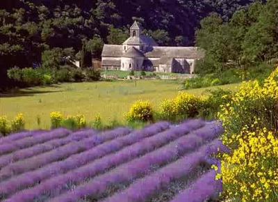 Circuit Franta - Provence & Coasta de Azur
