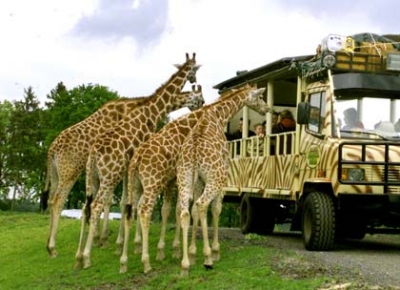 Serengeti Park - Germania