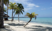 Obiective turistice Jamaica 3