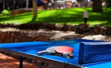 Seaside Sandy Beach_13