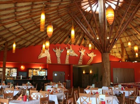 Serengeti Safari Lodge 6