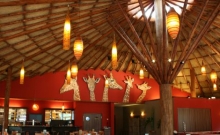 Serengeti Safari Lodge 6