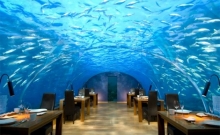 Clubul submarin din Maldive 4